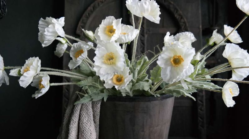 SAM_3960-neyslifestyle