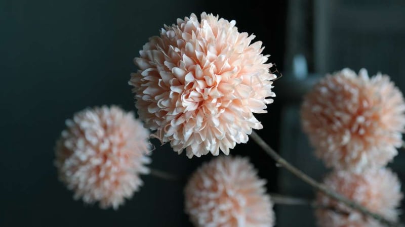 SAM_9720-neyslifestyle