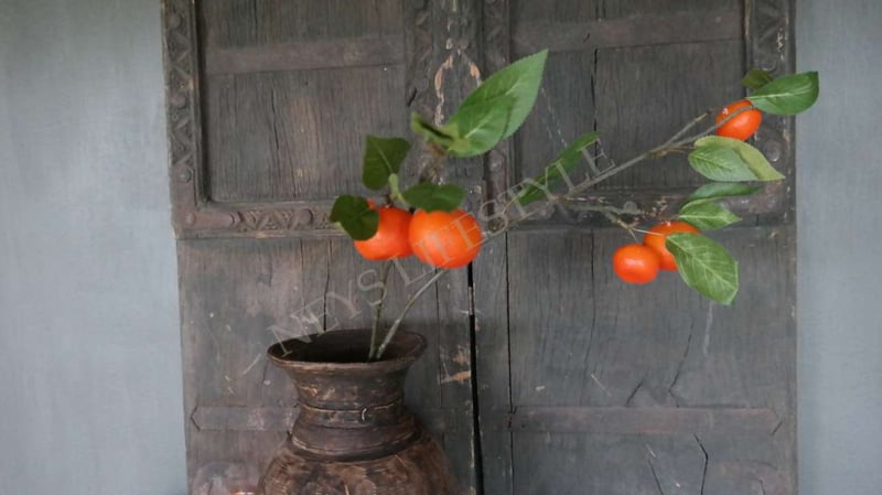 SAM_0961-neyslifestyle
