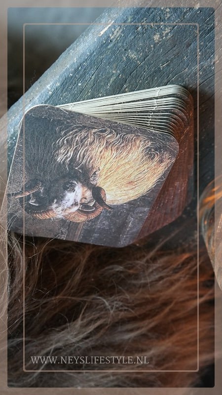 SAM_1992-neyslifestyle