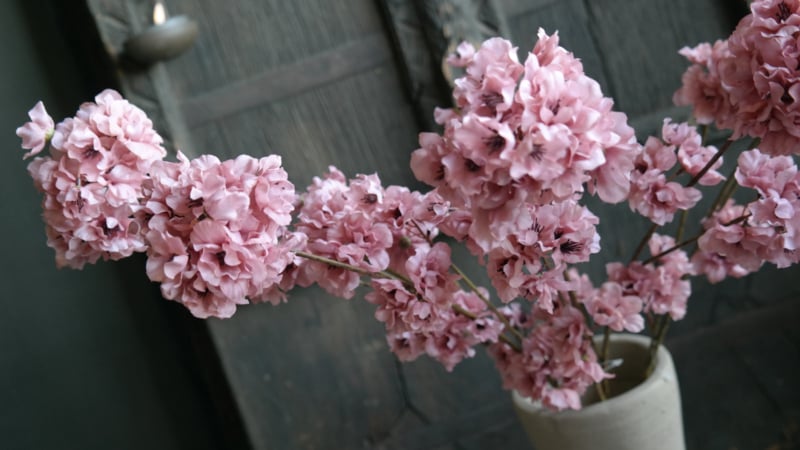 SAM_9915