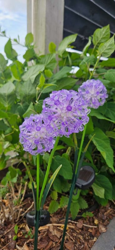20250523_173855-neyslifestyle
