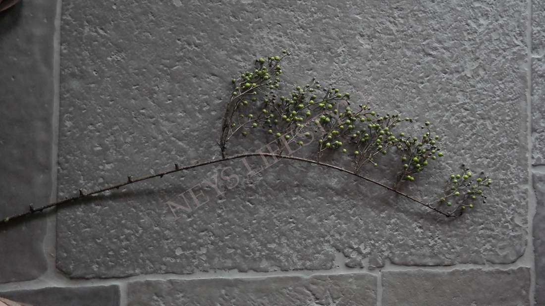 Rozenbottel namaak tak - groen 135 cm