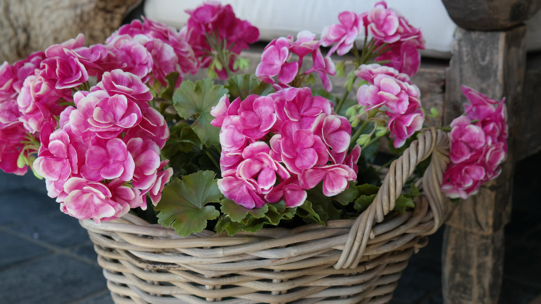 PLANTEN
