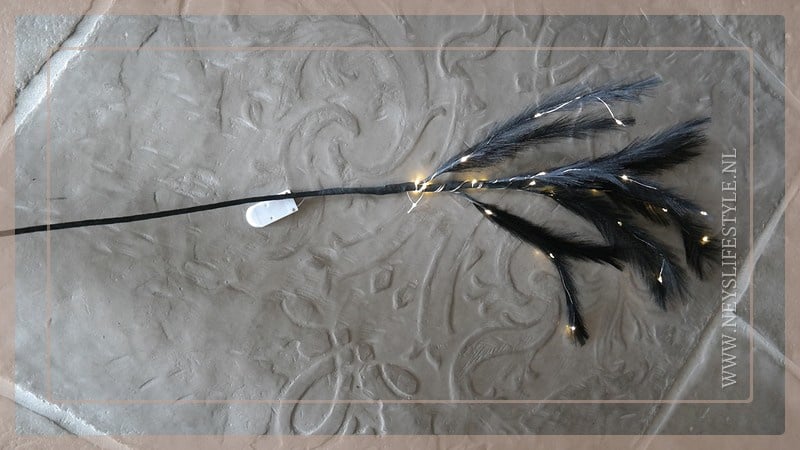 SAM_4742-neyslifestyle