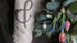 SAM_9421-neyslifestyle