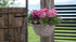 SAM_5062-neyslifestyle