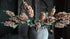 SAM_3524