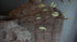 SAM_8009-neyslifestyle