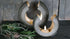 SAM_9923-neyslifestyle