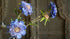 SAM_0061-neyslifestyle