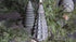 SAM_3043-neyslifestyle