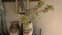 SAM_1321-neyslifestyle