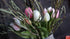SAM_3127-neyslifestyle