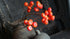 SAM_2603-neyslifestyle