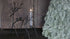 SAM_9801-neyslifestyle