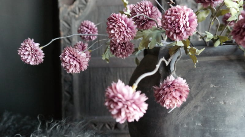 SAM_3556