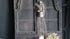 SAM_5424-neyslifestyle