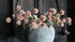 SAM_3557-neyslifestyle