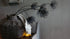 SAM_2709