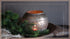 SAM_0172-neyslifestyle