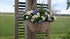 SAM_5068-neyslifestyle