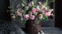 SAM_3523-neyslifestyle