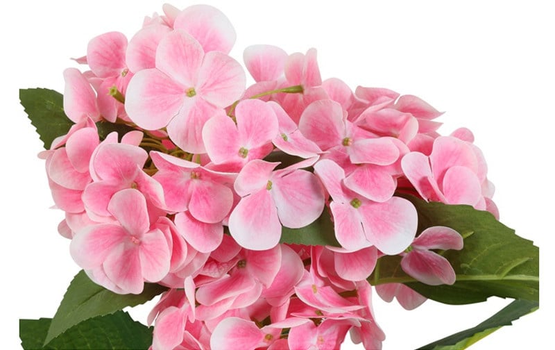 830435pink7802-743fc289fc648dd2e902469b77e35df731655ae6