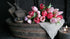SAM_4034-neyslifestyle