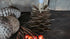 SAM_0039-neyslifestyle