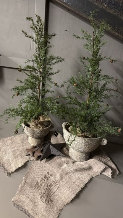 lariks pine