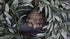 SAM_3739-neyslifestyle