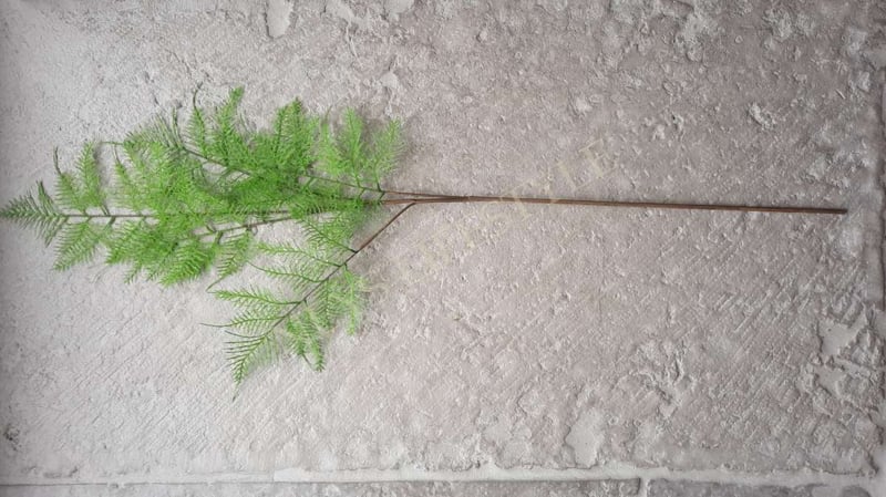 20230510_164448_resized-neyslifestyle