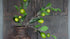 SAM_0971-neyslifestyle