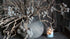 SAM_2529-neyslifestyle