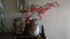SAM_1340-neyslifestyle