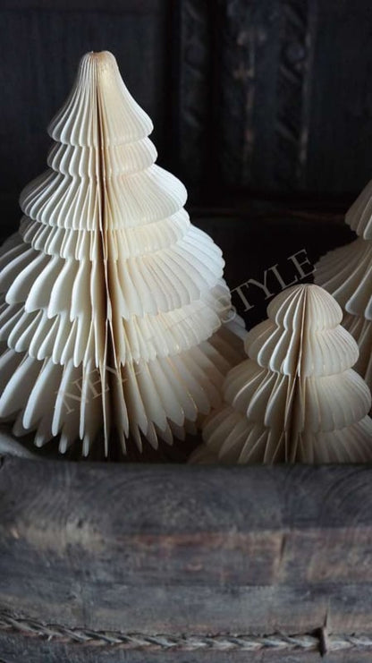 SAM_1968-neyslifestyle