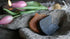 SAM_8253-neyslifestyle