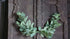 SAM_4952-neyslifestyle