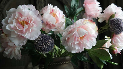 SAM_2832-neyslifestyle