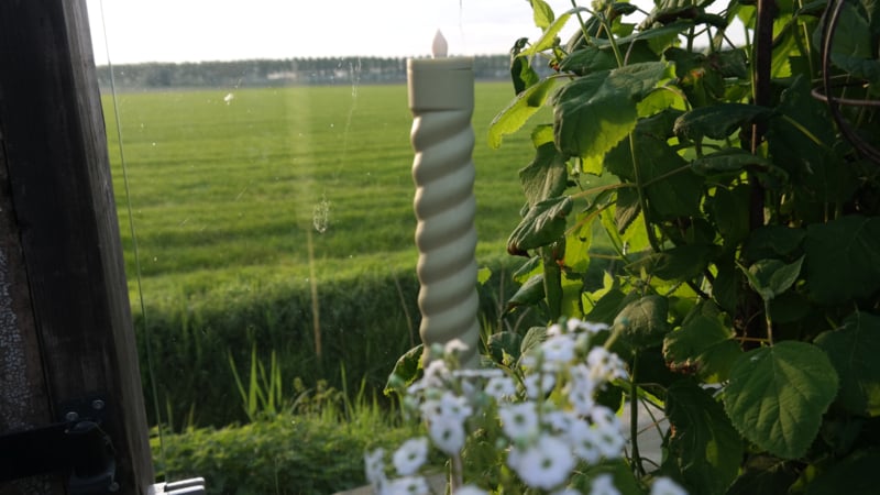 SAM_3150