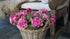 SAM_4747-neyslifestyle