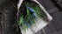 SAM_3384-neyslifestyle