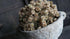 SAM_3161-neyslifestyle