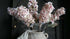 SAM_1499-neyslifestyle
