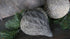 SAM_0268-neyslifestyle