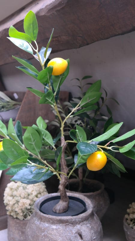 SAM_4965