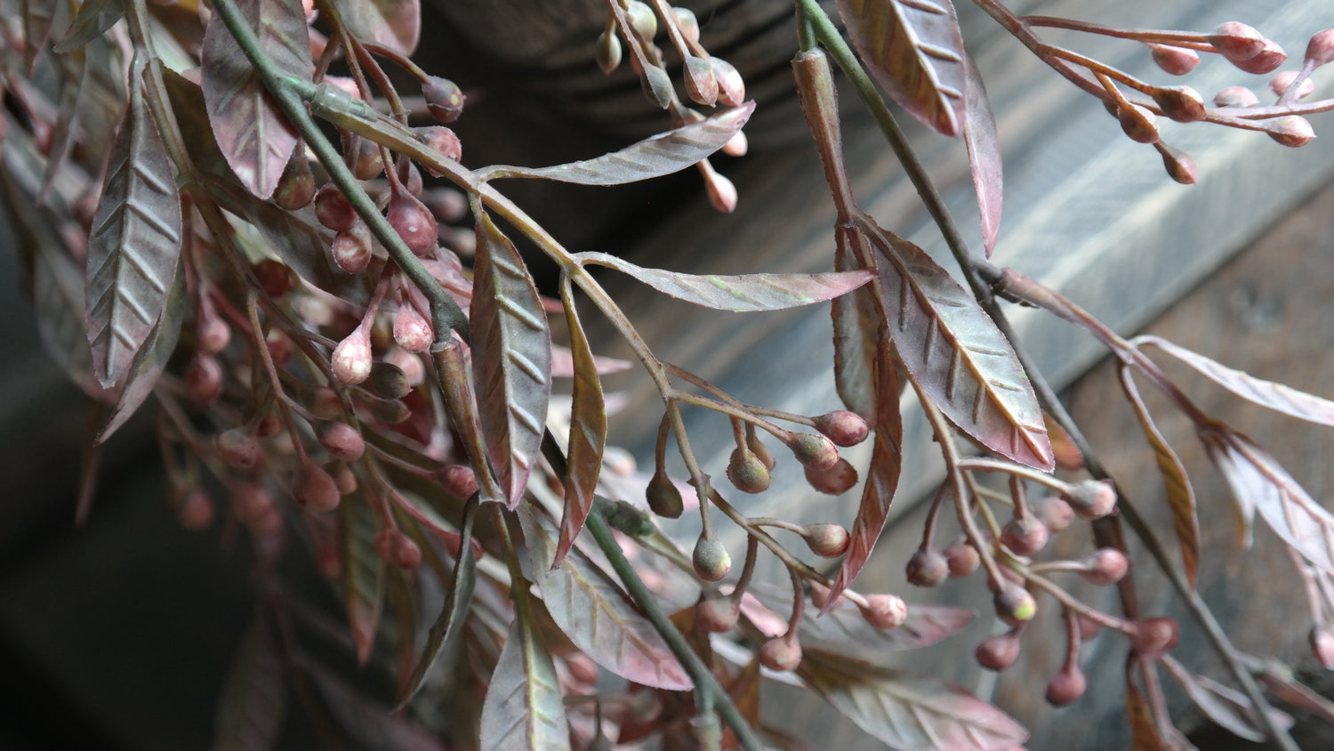 Tak bessen &amp; blad - rood