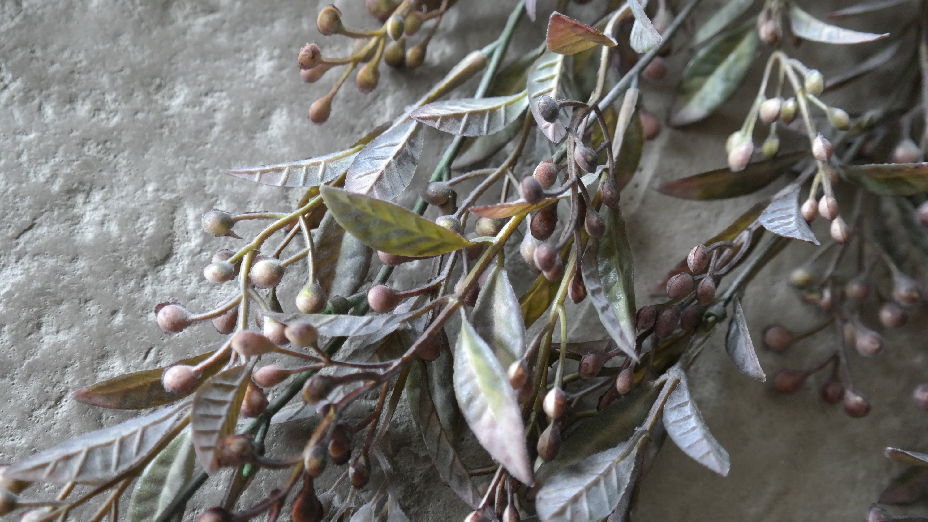 Tak bessen &amp; blad - groen