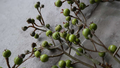Rozenbottel namaak tak - groen 135 cm